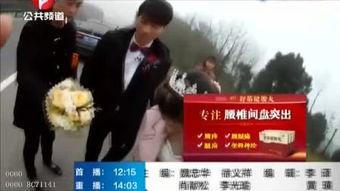 91制服中文在线视频,揭秘校园制服诱惑背后的青春故事