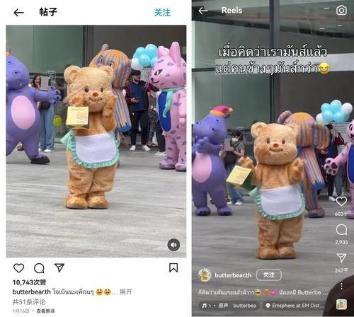 小熊跳舞在线视频播放,在线视频播放带你感受萌态无限